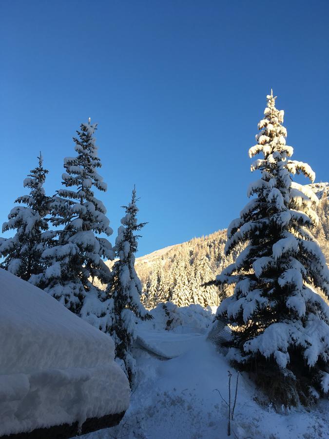 De Violaine Hotel Le Monêtier-les-Bains